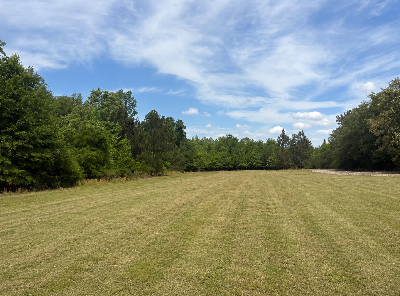 Open farm field bordered by trees under a bright sky